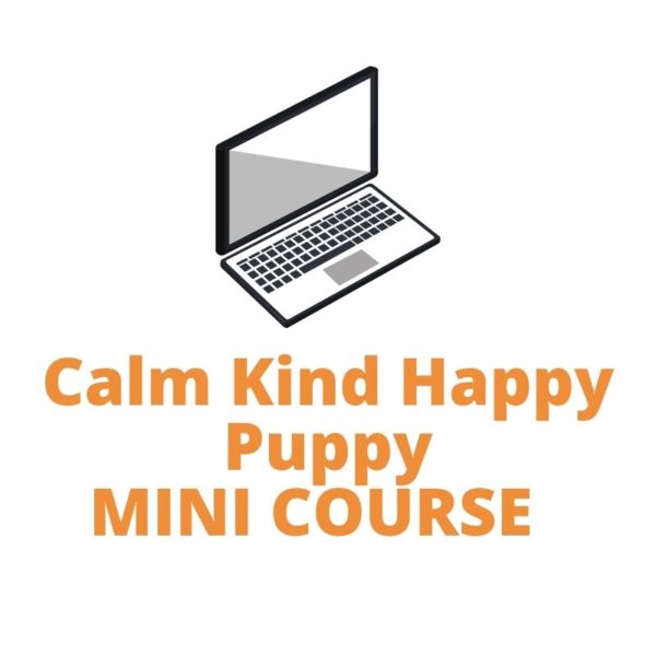Picture of a laptop Calm Kind Happy Puppy Mini Course