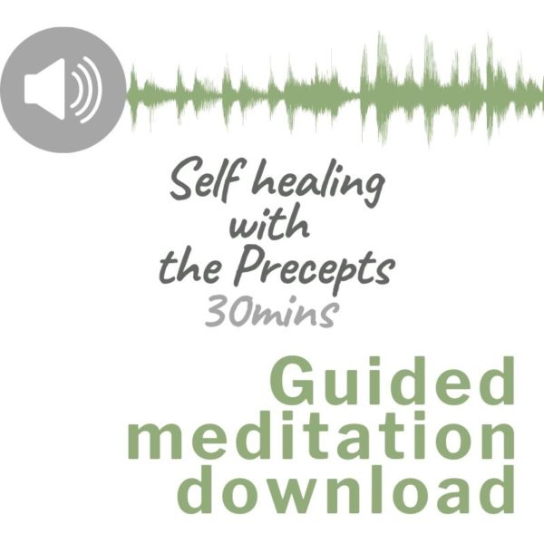 Audio download image for Guided meditation self healing with the precepts