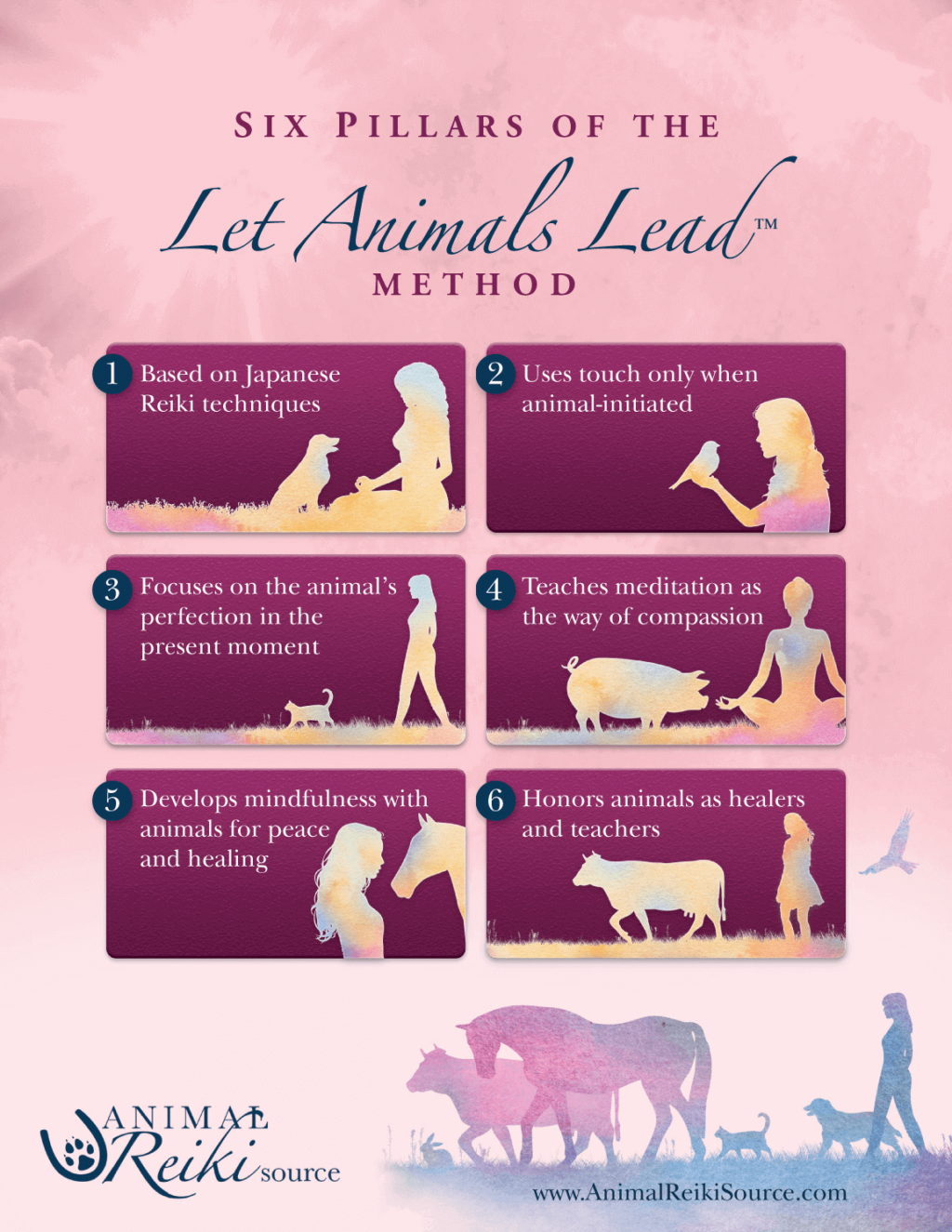 Six pillars of the Let Animals Lead Method