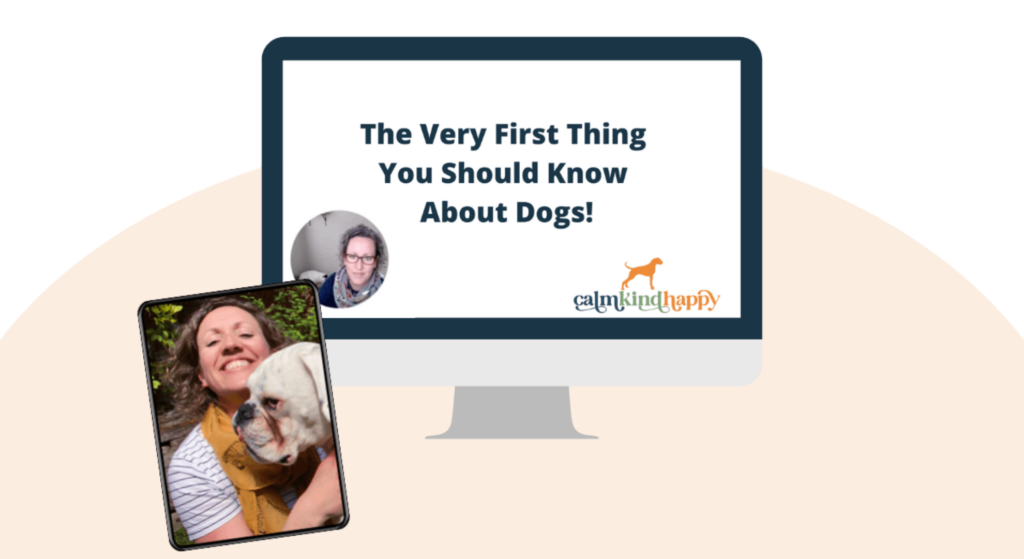 Image of a mock up laptop with the title of the free training video "The very first thing you should know about dogs!" and also an iPad mock up of Ali Carrington dog listener with her rescue boxer dog Ludo