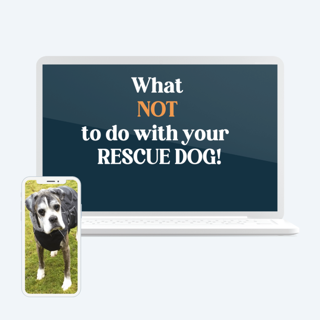 A laptop mock up with the title of the free training "What NOT to do with your new Rescue Dog!" also there is an iPhone mockup with old rescue boxer dog
