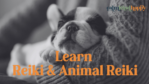 Relaxed sleeping puppy advertising an Animal Reiki course
