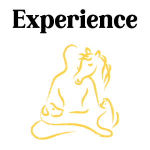 Experience