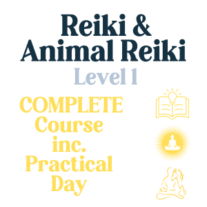 Reiki & Animal Reiki Level 1 - complete course inc. practical day