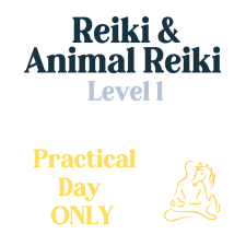 Reiki Practical Day